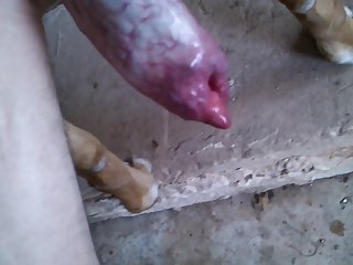 Wank Hd