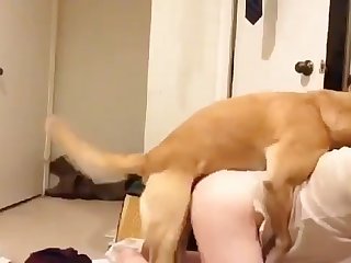 Nice Boy