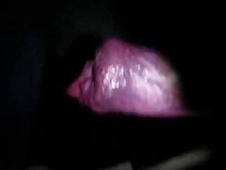 59250 Boy Suck Dog Cock