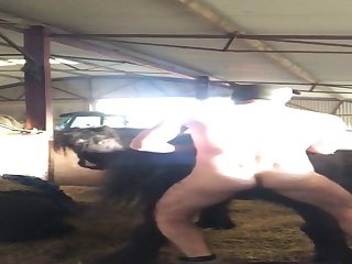 Farm Boy Sex