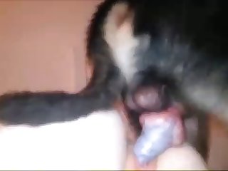 Huge Dog Cock Pull Out