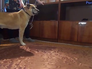 Olga Gave To Fuck Dogs Porn Zoo Teamrussia