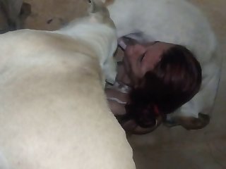 Sample Blowjob Amateur