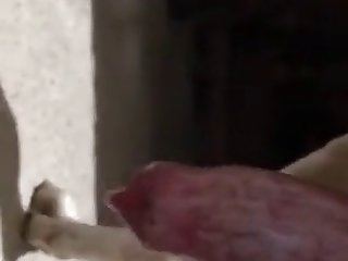 Dog I What To Be Knoted By