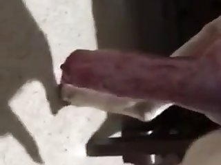 Dog I What To Be Knoted By