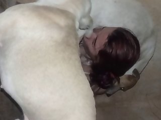 Sample Blowjob Amateur