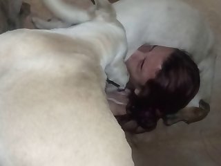 Sample Blowjob Amateur