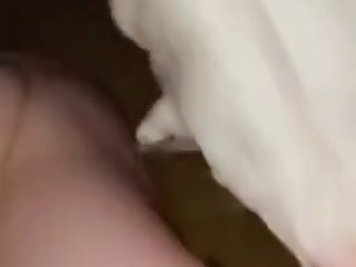 Whore4dogs 5
