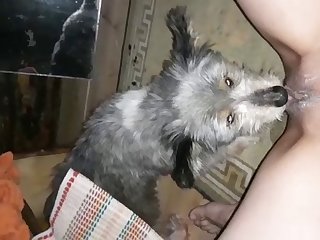 My Rex