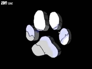 3dxxxx
