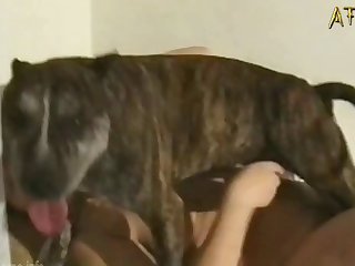 Ero Profile