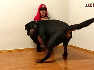 Animal Erotic Videos