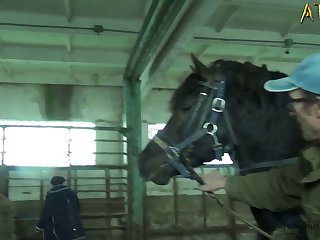 Rough Bestiality Porn