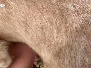 Bestiality Porn Luxure