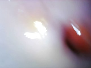 Porn W Animal