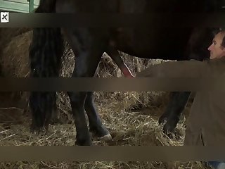 Animal Croossing Porn