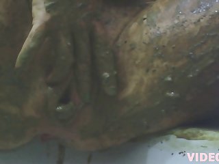 Animal Porn Horse Dick