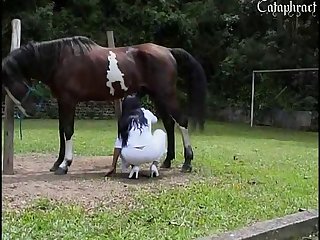 Yasmin Porn Animal