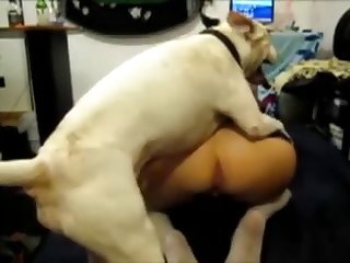 Amateur Porn Animal