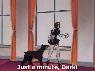 Free Animal Porn Long Videos