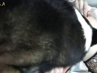 Zoofilia Gay Cavalo Gozando