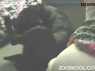 Porno Zoofilia Perra