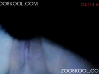 Zoofilia Tiktok Xxx