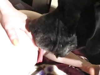 Created All The For Much Longer By Bitchies Continuing Tongue Job