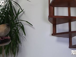 Porno Zoofilia Cabra