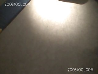 Xx Videos Zoofilia