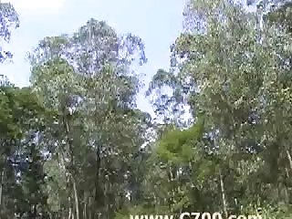 Garota Zoofilia