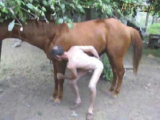 Zoofilia Boys