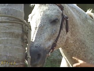 Mujer Caballo Zoofilia