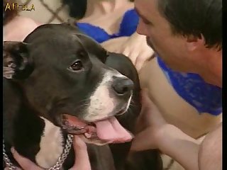 Extreme Anal Porn