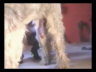 Free Extreme Fucked Up Teen Porn