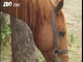Started Running My Tongue To The Dogs Asshole