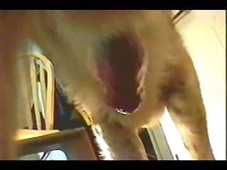 Most Extreme Gangbang Porn