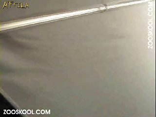 Extreme Cartoon Porn Tube