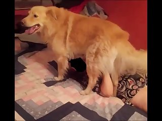 Porn Pros
