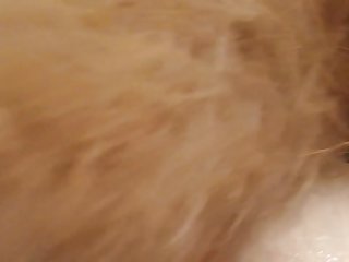 Cumsluts