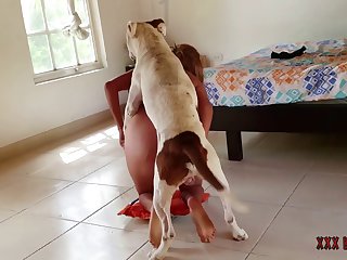 Dog Licking Dick Porn