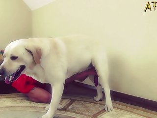 Dog Sucks Mans Dick