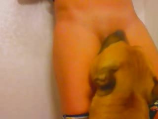 Veronica Silesto Porn Dog