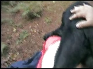 Animal Having Sex With A Woman