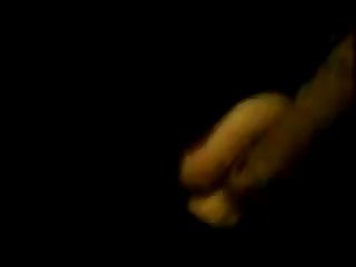 Porn Dog Sucking Pussy