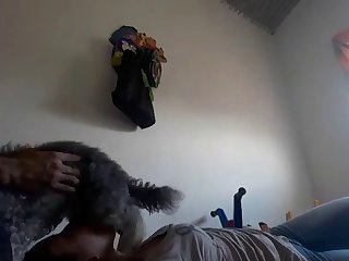 Videos Porno Zoofilia Xxx