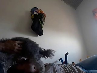 Videos Porno Zoofilia Xxx