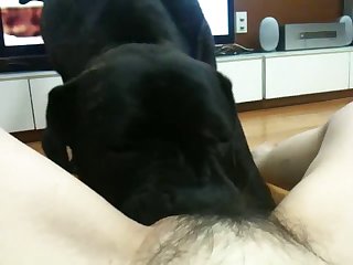 Fucking Dog In Public Porn