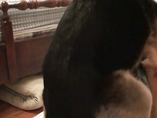 Dog Licking Panties Porn
