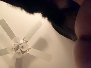 Zoofilia Sex Man